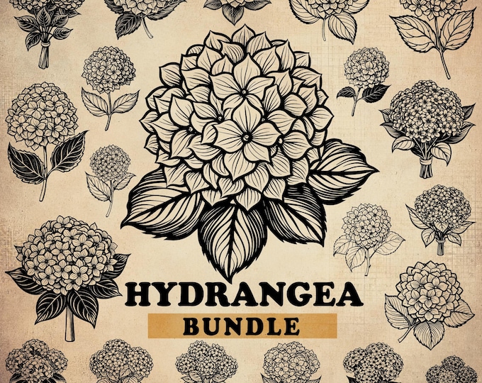 Hydrangea File Hydrangea SVG Bundle, Hydrangea Line Art, Hydrangea Dxf, Hydrangea Png ...