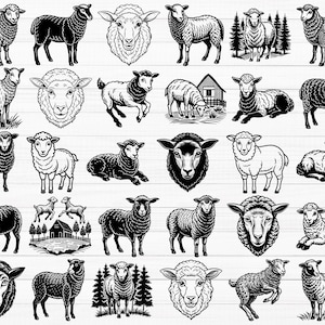 May include: A collection of black and white illustrations of sheep in various poses. The sheep are drawn in a simple, stylized manner and are set against a white background.