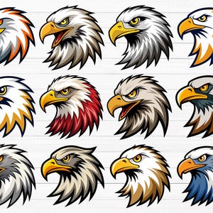 Op de afbeelding: Twaalf verschillende illustraties van Amerikaanse zeearenden met verschillende verenkleuren, waaronder rood, blauw, wit en oranje. Elke arend heeft een woeste uitdrukking en kijkt naar voren.