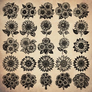 Puede incluir: Una colecci&oacute;n de 25 ilustraciones en blanco y negro de girasoles. Los girasoles est&aacute;n dispuestos en una cuadr&iacute;cula y todos miran al espectador. Las ilustraciones son detalladas y realistas, y ser&iacute;an perfectas para usar en una variedad de proyectos, como scrapbooking, creaci&oacute;n de tarjetas o dise&ntilde;o digital.