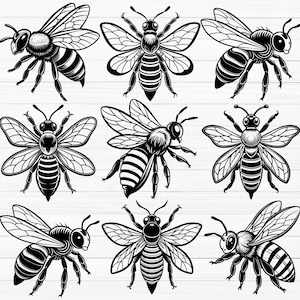 Bee SVG Bundle, Honey Bee Svg, Flying Bee Svg, Bee Silhouette, Honey Bee Clipart, Bee Vector,  Flying Bee Png, Bee Png, Dxf, Pdf, Eps