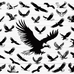 May include: A collection of 40 black silhouette images of bald eagles in various poses. The eagles are facing different directions and have their wings spread out. The images are perfect for crafting projects, scrapbooking, or digital design.