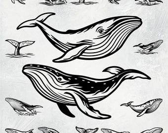 Ballena SVG, Ballena jorobada SVG, Ballena PNG, Imágenes prediseñadas de ballena, Ballena vectorial, Silueta de ballena, Océano SVG, Vida marina SVG, Animales marinos SVG