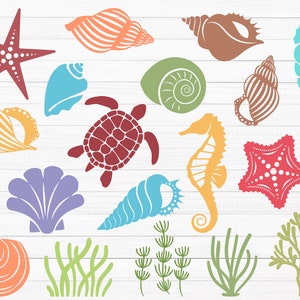 Ocean Animals SVG Bundle, Sea Shells Ocean, Seahorse Svg, Starfish Svg, Sea Turtle Svg, Sea Creatures Svg, Silhouette Animal Vector, Cricut