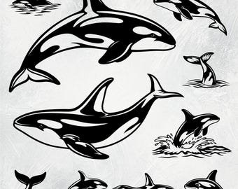 Walvis SVG, orka Svg, orka walvis silhouet, orka Clipart, orka vector, orka Png, Oceaan Svg, zee dier Svg