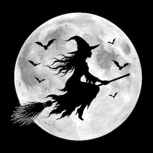 May include: A black silhouette of a witch wearing a pointed hat and a tattered dress, flying on a broomstick against a large, detailed, white full moon. Several small black bats are flying around the witch in the night sky.