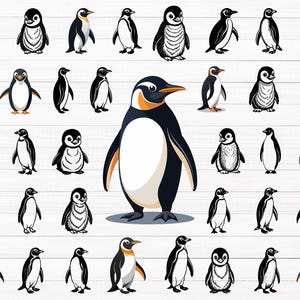 Penguin SVG, Penguin Svg Bundle, Penguin Clipart, Penguin Silhouette, Penguin Vector, Cute Penguin Svg, Baby Penguin Png, Baby Penguin Svg