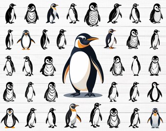 Penguin SVG, Penguin Svg Bundle, Penguin Clipart, Penguin Silhouette, Penguin Vector, Cute Penguin Svg, Baby Penguin Png, Baby Penguin Svg