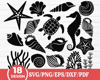 Ocean Animals SVG Bundle, Sea Shells Ocean, Seahorse Svg, Starfish Svg, Sea Turtle Svg, Sea Creatures Svg, Silhouette Animal Vector, Cricut