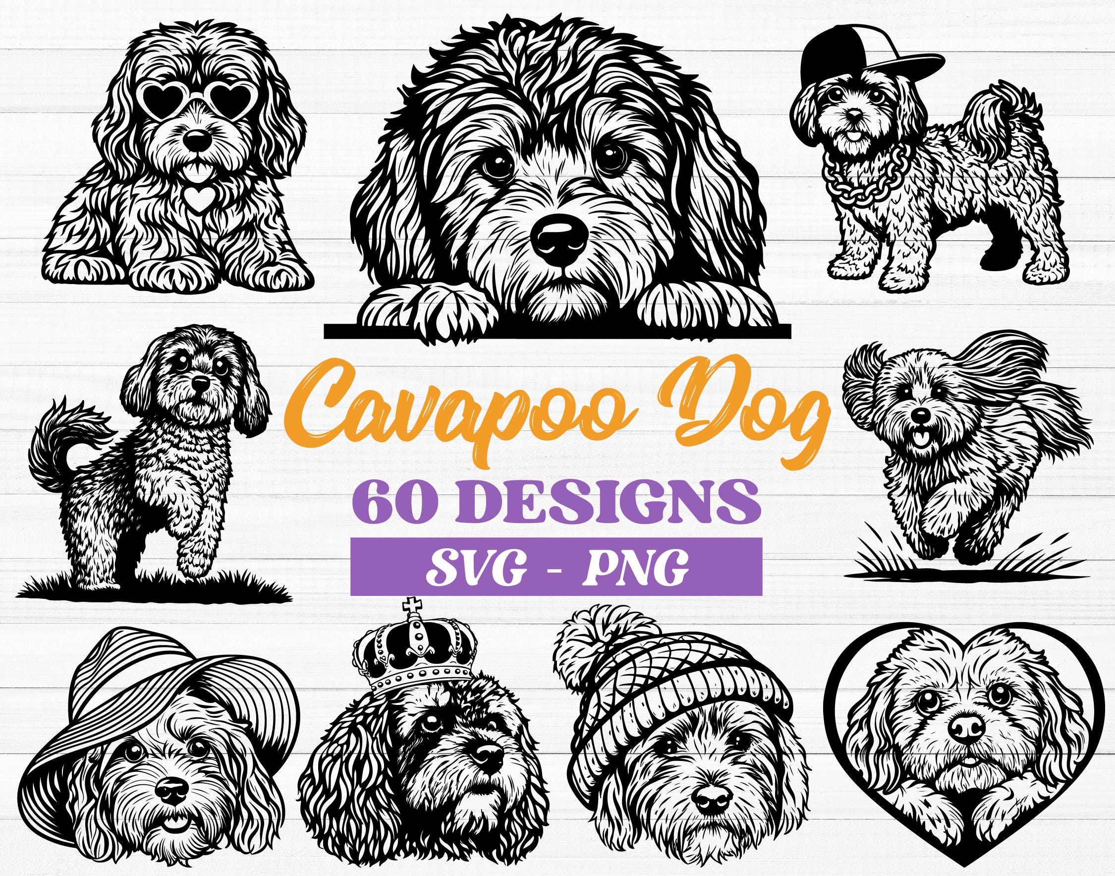 Cavapoo SVG Bundle, Peeking Cavapoo Svg, Cavapoo Silhouette, Funny ...