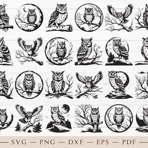 Puede incluir: Un conjunto de 24 ilustraciones de b&uacute;hos en blanco y negro con varias poses y dise&ntilde;os. Los b&uacute;hos se representan con detalles precisos, incluidas plumas, ojos y picos. Algunos b&uacute;hos est&aacute;n posados en ramas, mientras que otros est&aacute;n volando o sentados en una luna.
