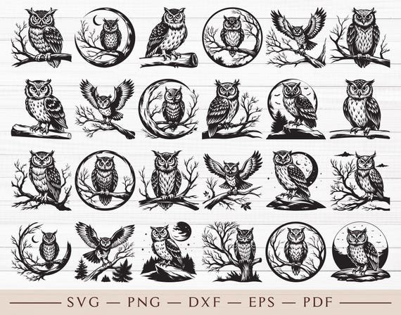 Owl SVG Bundle (30 Files: SVG, PNG & More)
