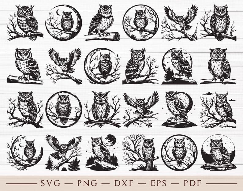Puede incluir: Un conjunto de 24 ilustraciones de b&uacute;hos en blanco y negro con varias poses y dise&ntilde;os. Los b&uacute;hos se representan con detalles precisos, incluidas plumas, ojos y picos. Algunos b&uacute;hos est&aacute;n posados en ramas, mientras que otros est&aacute;n volando o sentados en una luna.