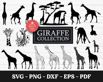Giraffe SVG, Giraffe Svg Bundle, Giraffe Silhouette, Wildlife Themed Projects, Giraffe Clipart, Safari Animals Svg, Cute Giraffe Svg, Animal
