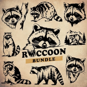 Raccoon SVG Bundle, Raccoon Svg, Raccoon Png, Raccoon Silhouette, Raccoon Head Svg, Raccoon Clipart, Svg, Png