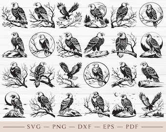 Eagle SVG, Flying Eagle SVG, Bald Eagle SVG, Eagle Head SVG, Eagle Clipart, Eagle Vector, Eagle Silhouette, Eagle PNG