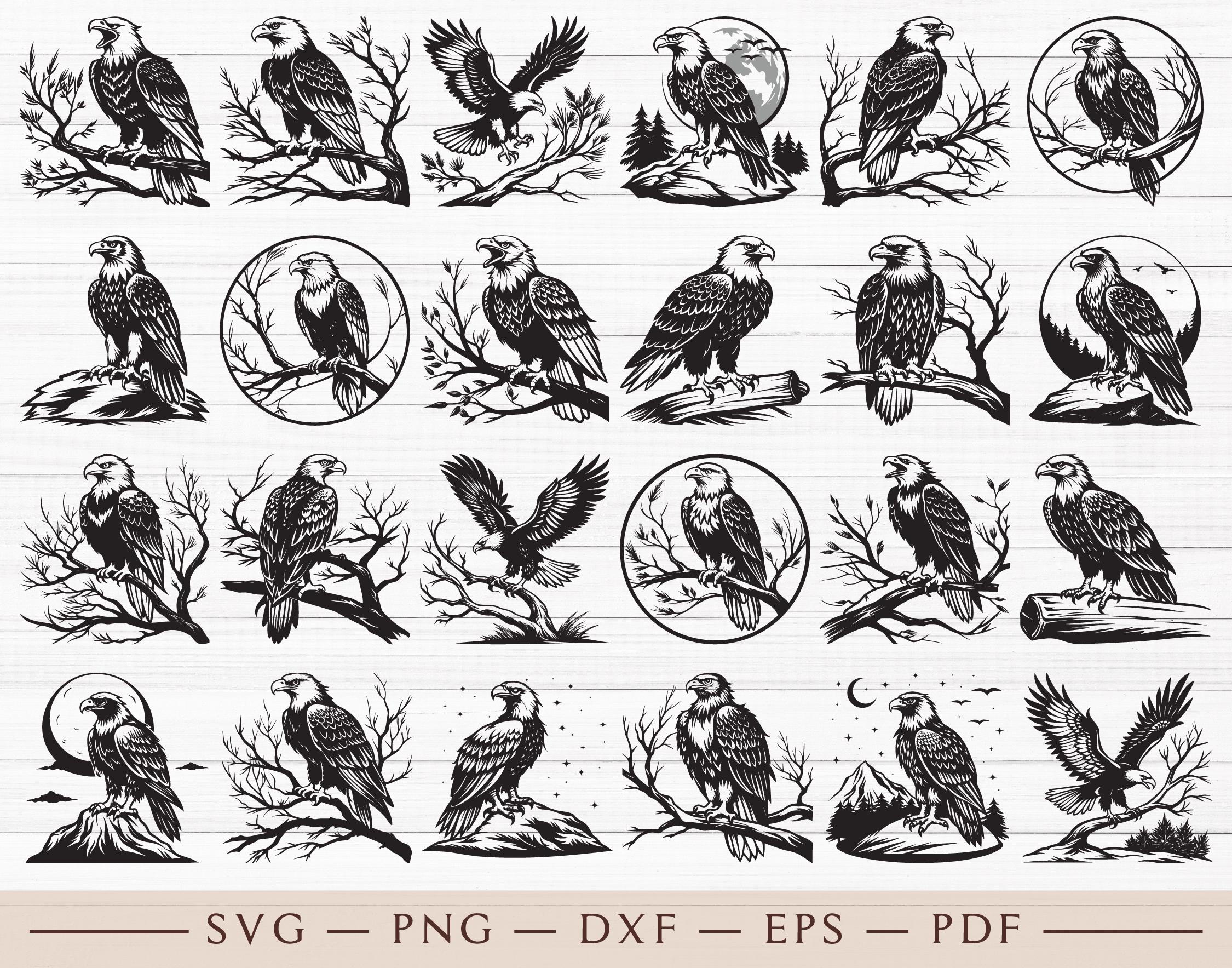 Eagle Rv Svg Eagle Svg, Flying Eagle Svg, Bald Eagle Svg, Eagle Head Svg, Eagle ...