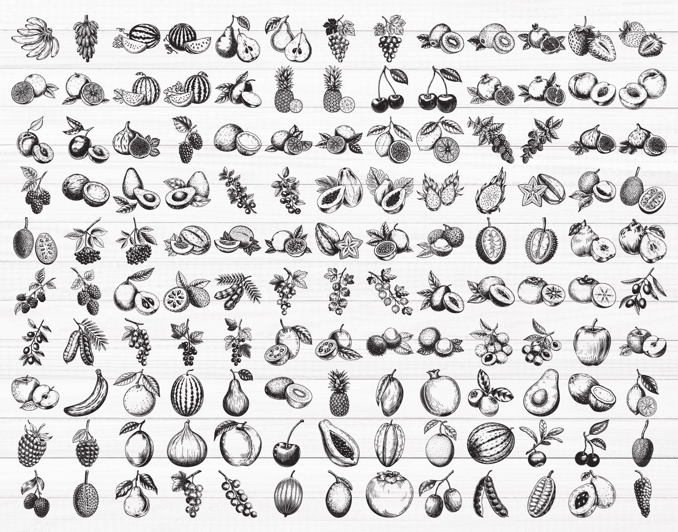 140種類のフルーツSVGバンドル、ビンテージフルーツクリップアートPNG