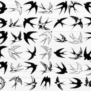 Puede incluir: Una colección de 48 imágenes en silueta de pájaros en blanco y negro, todas mirando en la misma dirección. Los pájaros están en varias poses, algunos volando, algunos posados y algunos con las alas extendidas. Las imágenes son todas en un estilo simple y minimalista.