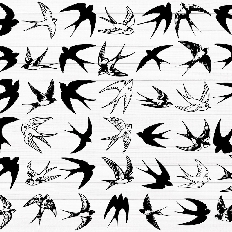 Molly Little Swallow for Dad - Etsy New Zealand