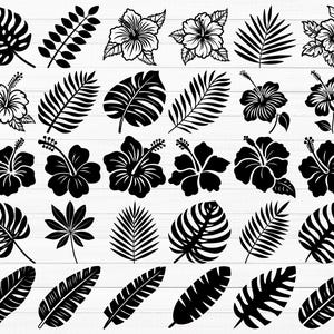 Tropical SVG, Hibiscus Svg, Hawaiian Leaf Svg, Tropical Plant Svg, Monstera Leaf Svg, Jungle Leaves Svg, Hibiscus Silhouette, Leaf Png
