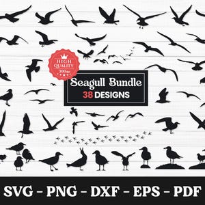 Bird SVG, Flying Seagull Svg, Seagull Svg Bundle, Seagull Silhouette, Bird Svg, Vector Cut file for Cricut, Cutting Seagull Svg, Png, Dxf