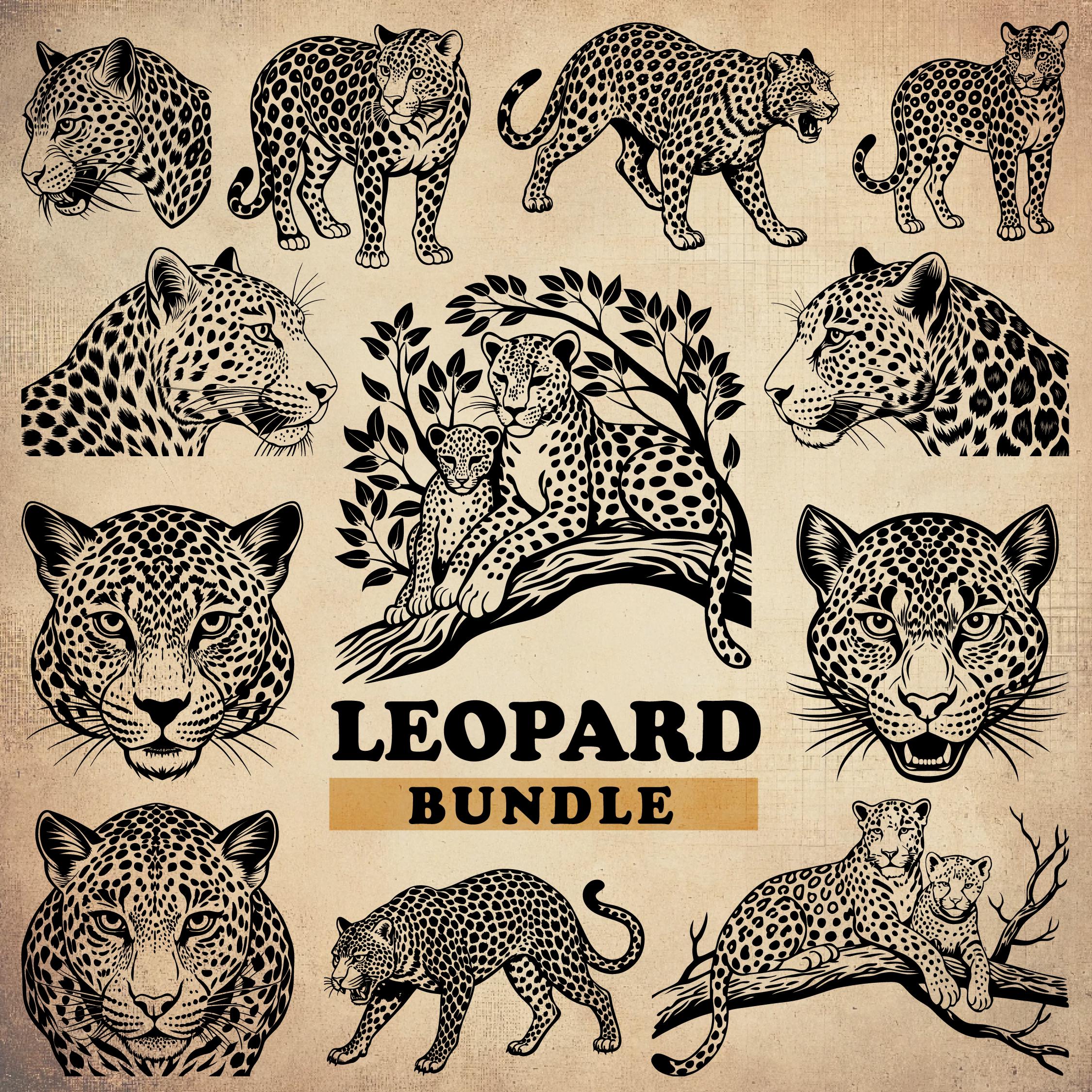 Leopard drawing - Etsy België, image size:2250x2250