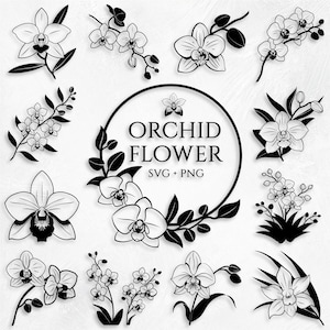 Orchidee SVG Bundle (64 SVG & PNG Dateien) Instant Download, kommerzielle Nutzung