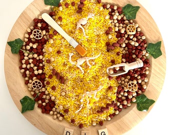 Dinosaur excavation sensory kit/ rice/ chick peas/ excavate/ digging/ bones/ dino/ tuff trays/ sensory bins/EYFS/ early years/ messy play
