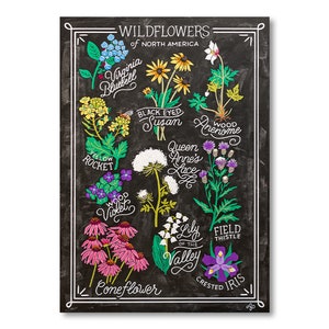 Wilde bloemen van Noord-Amerika, met de hand geletterde digitale Fine Art Print, schoolbord botanische kunst aan de muur