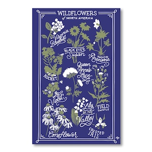 Wilde bloemen van Noord-Amerika, met de hand geletterde digitale Fine Art Print, blauwe en witte botanische kunst aan de muur