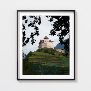 Liechtenstein Castle Print | Wall Art | Photography | Liechtenstein | Gutenberg Castle | Fine Art Print