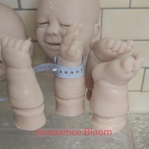 Pu&ograve; includere: Un kit per bambola reborn in vinile dalla pelle chiara composto da una testa con occhi chiusi, due braccia e due gambe. Un braccio indossa un braccialetto identificativo ospedaliero in plastica azzurra. Il testo Innocence Bloom &egrave; in rosso.