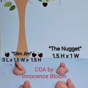 May include: A whimsical artwork featuring a tree with an owl and apples, alongside four pink, phallic-shaped sculptures labeled "Slim Jim", "The Nugget", "The Button", and "The Wiggle". Measurements are provided in inches.