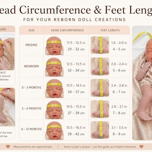 Pu&ograve; includere: Una tabella informativa intitolata Head Circumference & Feet Length for your reborn doll creations. Mostra le istruzioni di misurazione e una tabella che elenca le taglie da prematuro a 12 mesi con le misure di testa e piedi in cm.