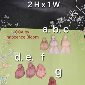 May include: The image shows several small, anatomical models in shades of pink and beige. The text "uncircumcised" and "Turtle Boy Part" is visible. The models are arranged on a green background with butterfly illustrations.