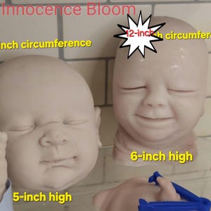 Pu&ograve; includere: Due teste di bambola in vinile non dipinte etichettate Innocence Bloom. Una testa ha una circonferenza di 30,48 cm ed &egrave; alta 12,7 cm, l'altra ha una circonferenza di 30,48 cm ed &egrave; alta 15,24 cm. Entrambe hanno gli occhi chiusi.