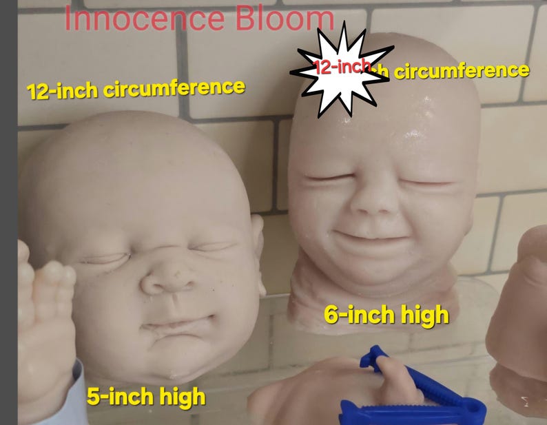 Pu&ograve; includere: Due teste di bambola in vinile non dipinte etichettate Innocence Bloom. Una testa ha una circonferenza di 30,48 cm ed &egrave; alta 12,7 cm, l'altra ha una circonferenza di 30,48 cm ed &egrave; alta 15,24 cm. Entrambe hanno gli occhi chiusi.