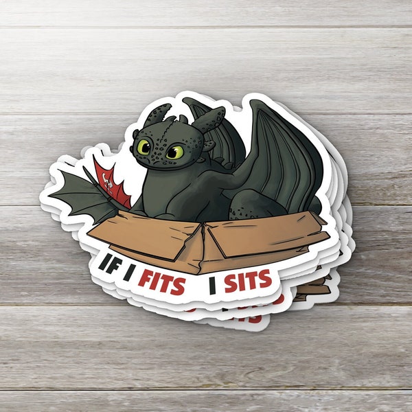 If I Fits I Sits | How to Train Your Dragon | 3.5" Vinyl Sticker