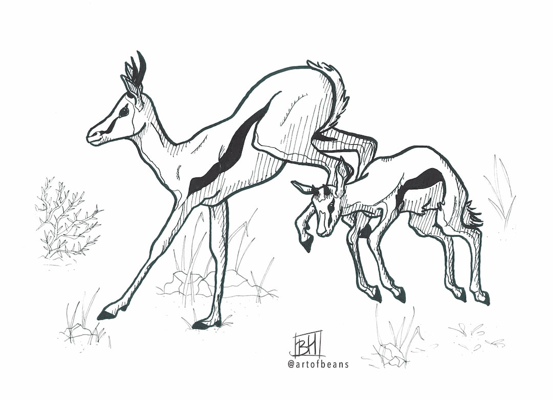 Springboks Printing Springbok | Art Print - Etsy