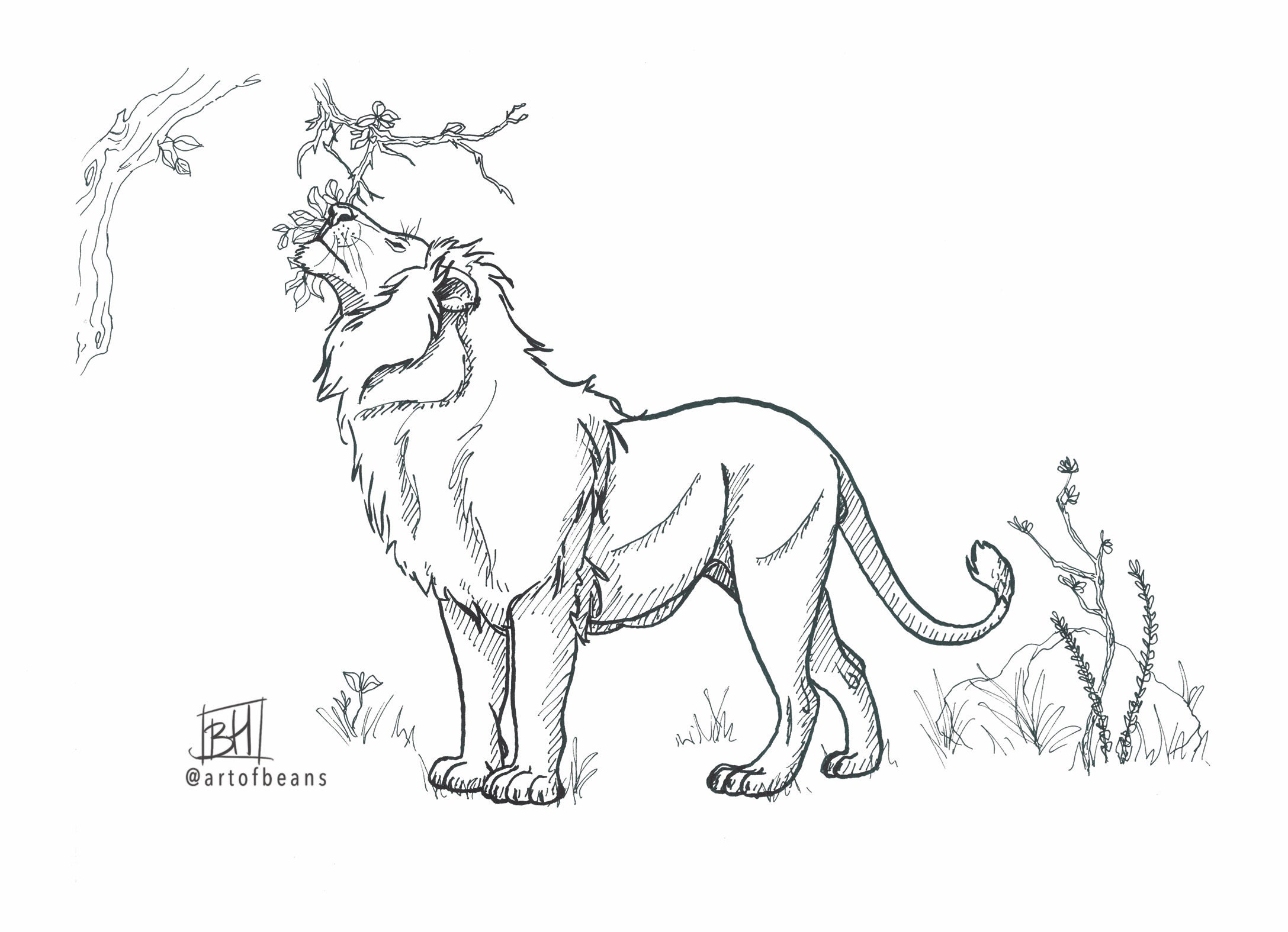 Lion | Art Print