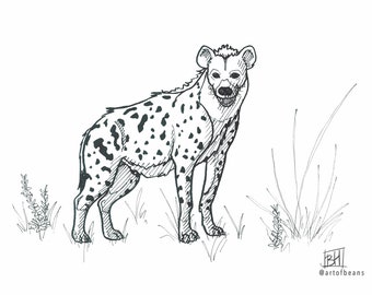 Spotted Hyena | Art Print