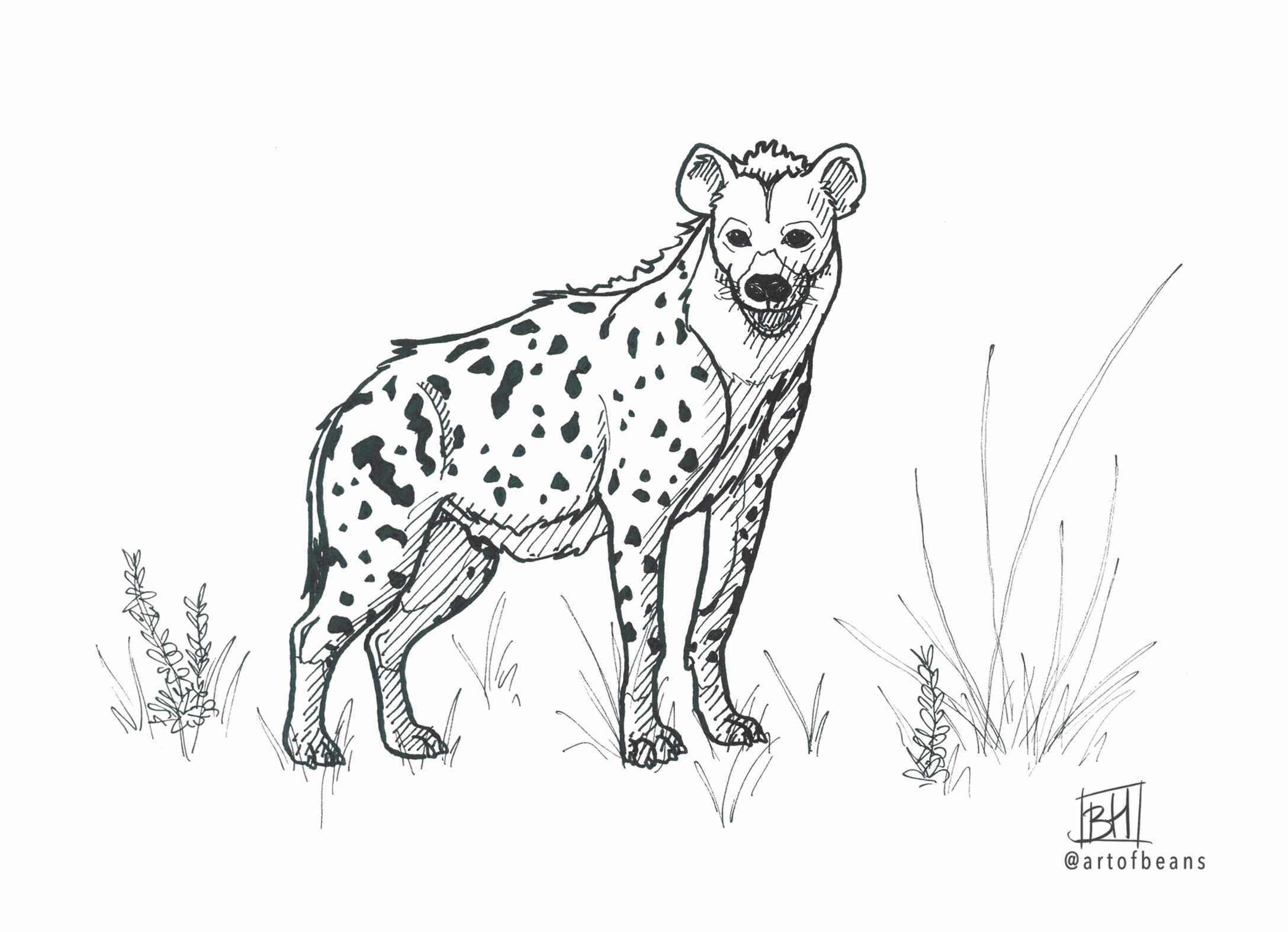 Spotted Hyena Art Print - Etsy