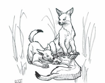 Jackal Pups | Art Print