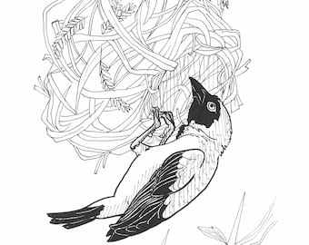 Weaver Bird | Art Print