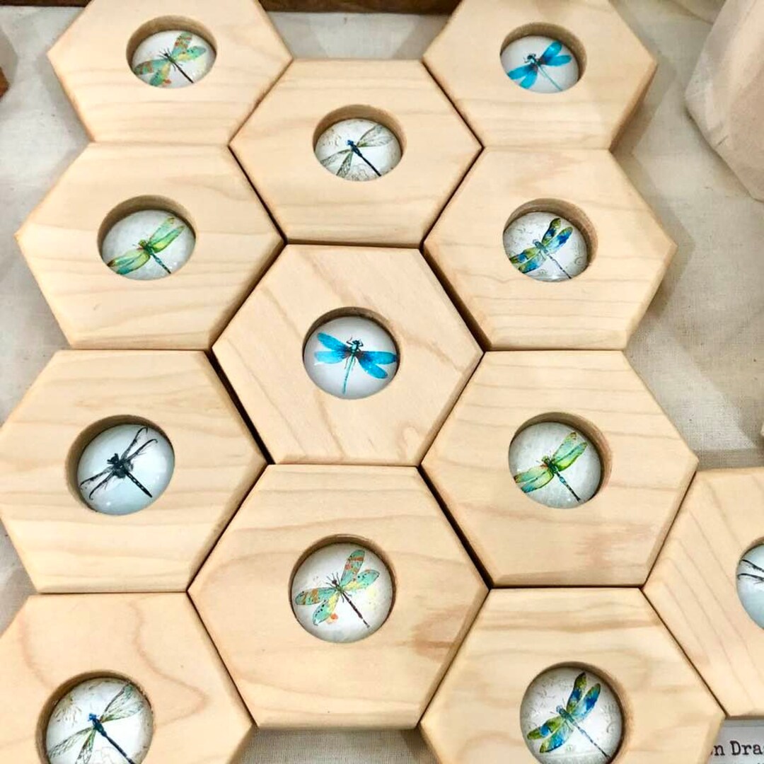 Hexagon Memory - Dragonflies - 12 Pc. Set - Etsy
