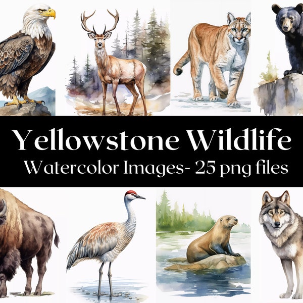 Yellowstone Wildlife Watercolor Digital Art, Wilderness Pictures, Yellowstone Animal Clipart, Wild Animal Images, Wall Art, Commercial Use