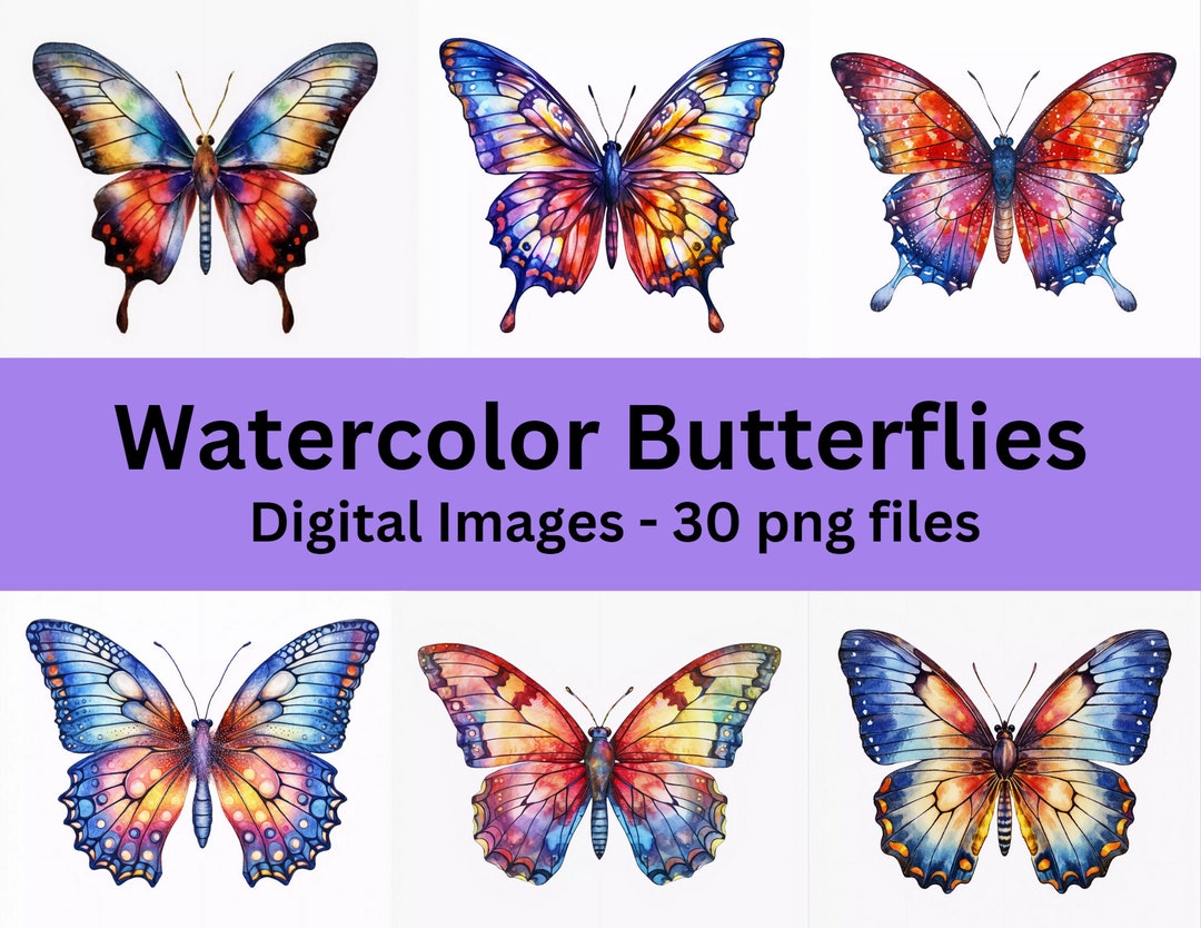 Watercolor Butterfly Clipart, Assorted Digital Art (30 PNG), Commercial ...