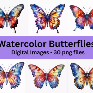 Butterflies Watercolor Digital Art, Butterfly Watercolor Clipart, Assorted Butterfly Pictures, Cute Butterflies Wall Art, Commercial Use