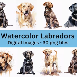 Labradors Watercolor Digital Art, Dog Watercolor Clipart, Types of Labs Pictures, Labrador Retriever Images, Commercial Use